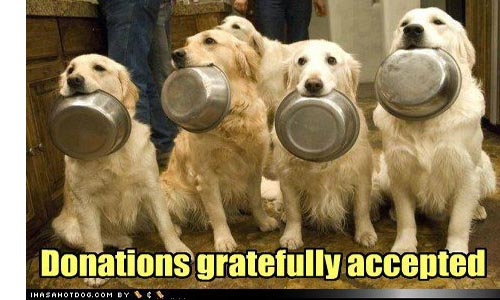Please Donate Project PetsProject Pets