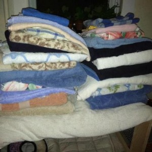 FBAR_CC_Towels_in_piles