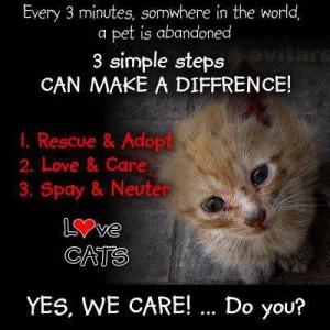 # simple Steps to help animals